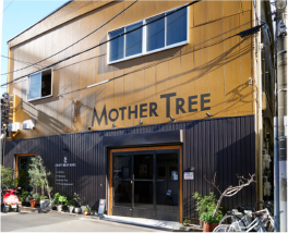 CRAFT BEER BASE MOTHER TREE