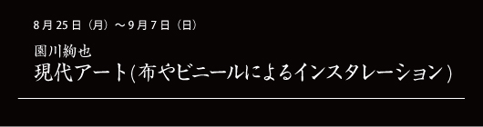 8月25日（月）～ 9月7日（日） 園川絢也 現代アート（布やビニールによるインスタレーション）