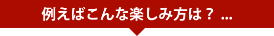 例えばこんな楽しみ方は？ ...